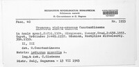 Uromyces viciae-fabae image